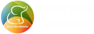 BVN logo